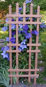Такая решетка очень украсит романтический уголок вашего сада. Фото взято в интернете.